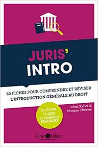 Juris Intro - 25 fiches pour comprendre et réviser l'introduction générale au droit