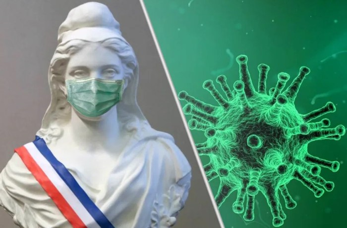 Constitution et crise sanitaire : quels outils pour réagir face à la crise du Covid-19 ?